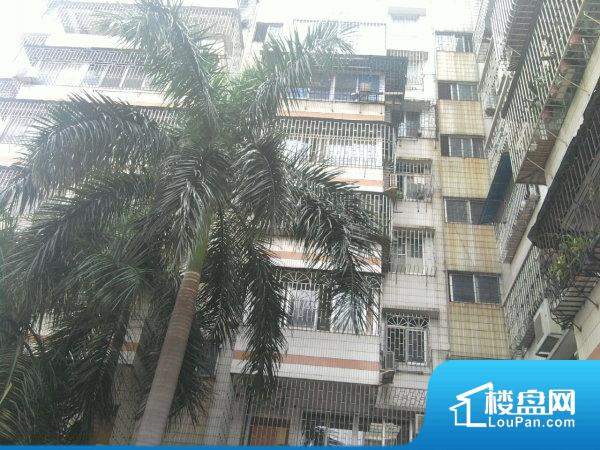 无锡金洋澳澜最新房价公布，详细步骤指南与解析