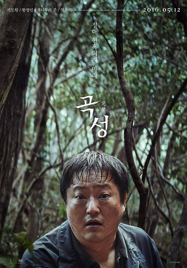 哭声电影深度解析，情感与影响探究