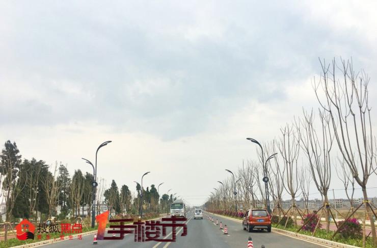 宜良楼市最新动态