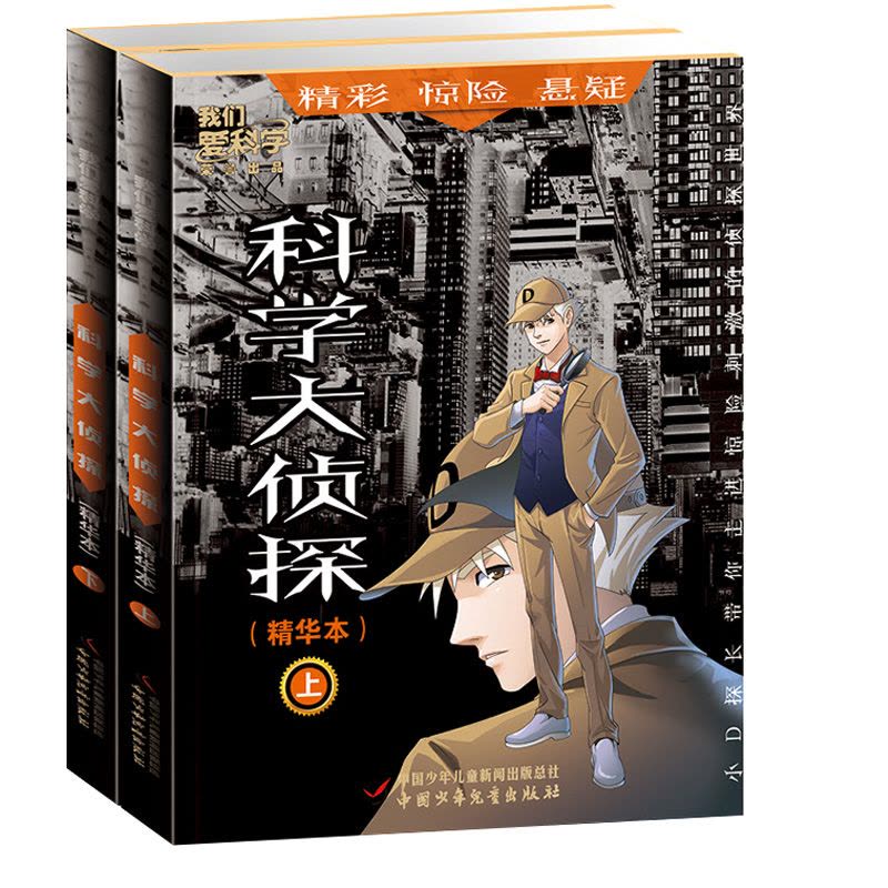 最新侦探书的魅力与挑战，深入解析与观点阐述