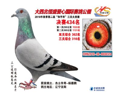 最新公棚，友情与欢乐的温馨家园