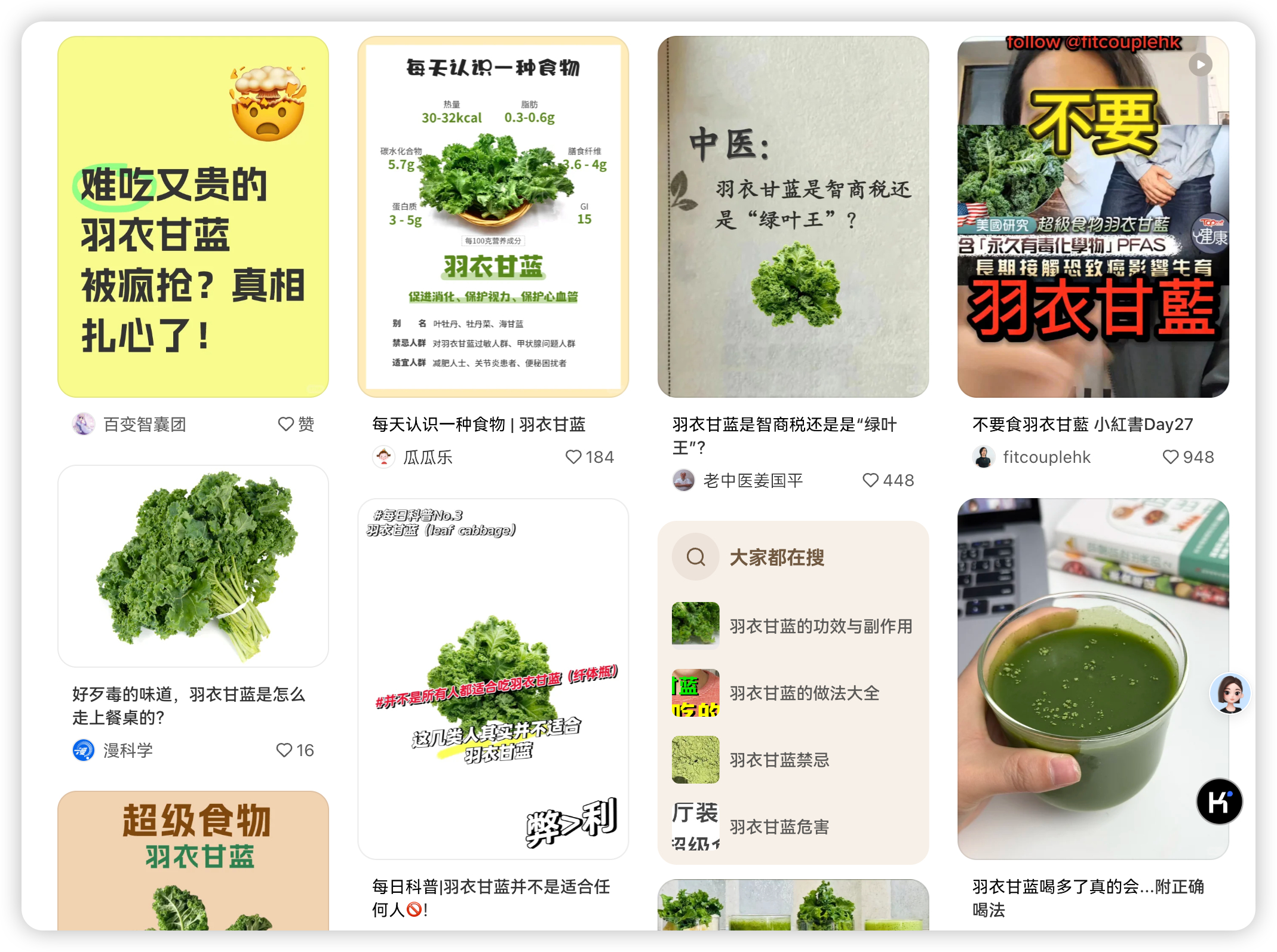 甘蓝价格最新行情详解及获取方法指南