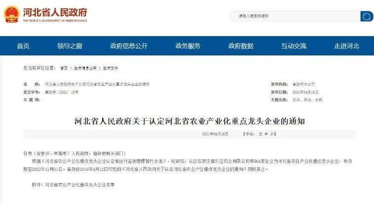 蓝猫集团最新动态，小巷中的隐藏瑰宝