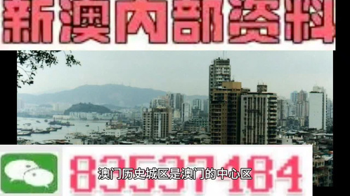 ＂新澳精选资料免费提供＂的：灵活执行方案_百搭版9.9