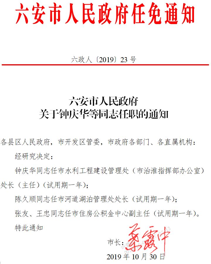 淮南最新人事任免，优化人才结构，助力地方发展提速